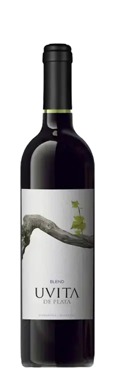 vinho5.webp