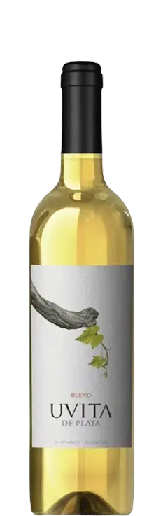 vinho6.webp